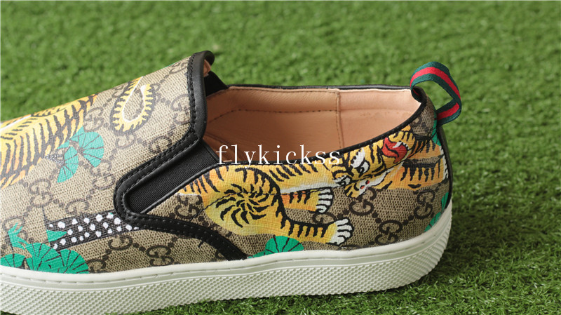 GC Brand Sneaker Low Top Tiger Pattern